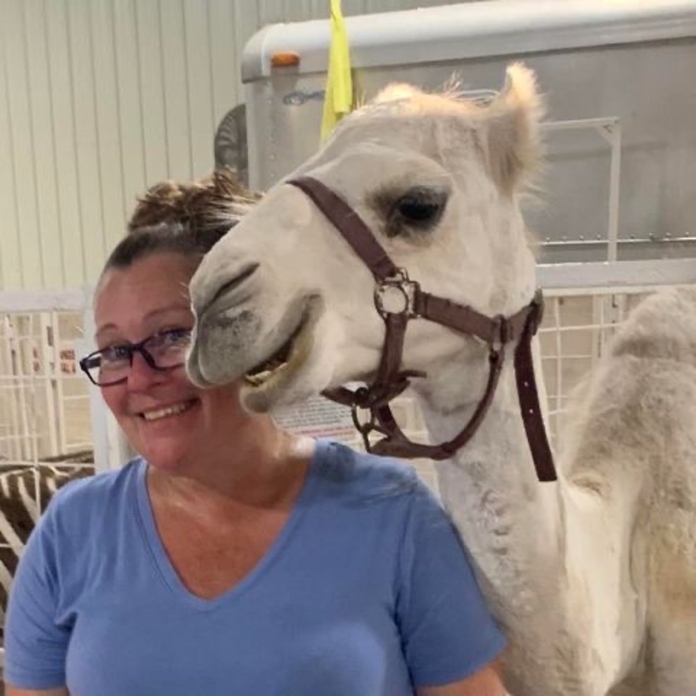 Meet your Posher, Anneliese